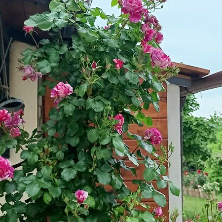 Colle Perazzoni Διαμέρισμα Fiano Romano Εξωτερικό φωτογραφία