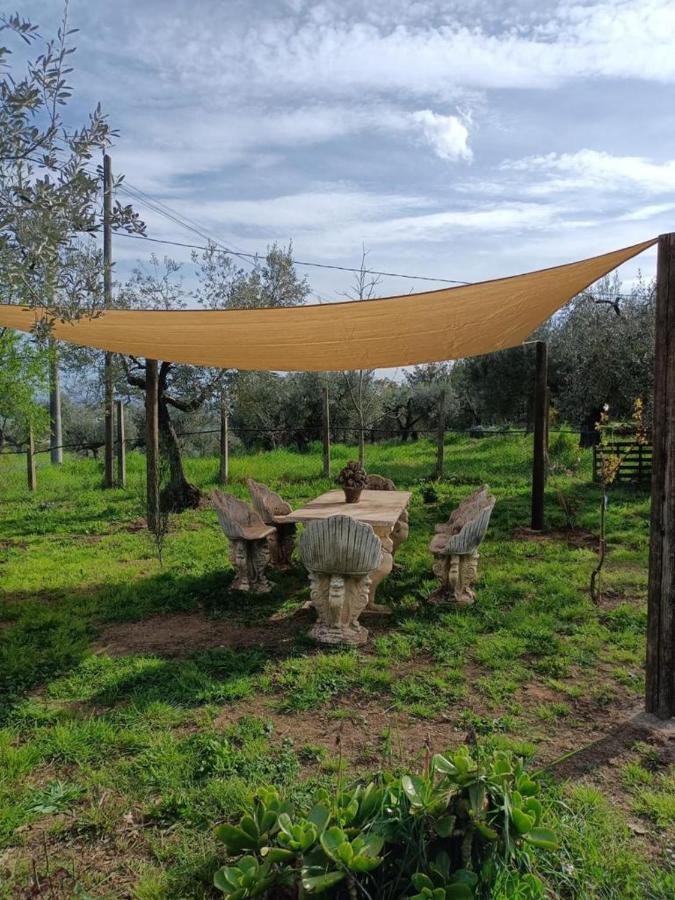 Colle Perazzoni Διαμέρισμα Fiano Romano Εξωτερικό φωτογραφία