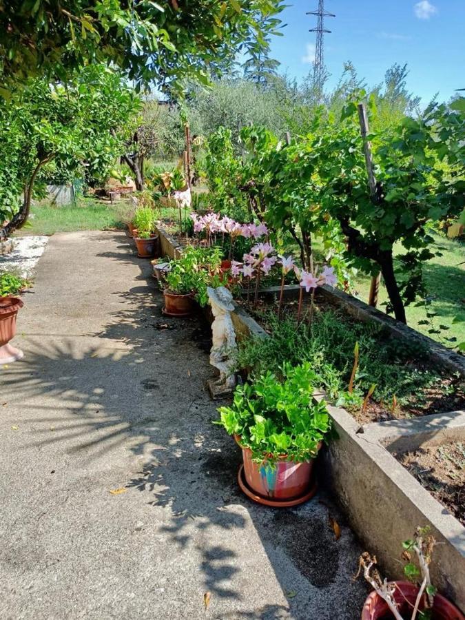 Colle Perazzoni Διαμέρισμα Fiano Romano Εξωτερικό φωτογραφία