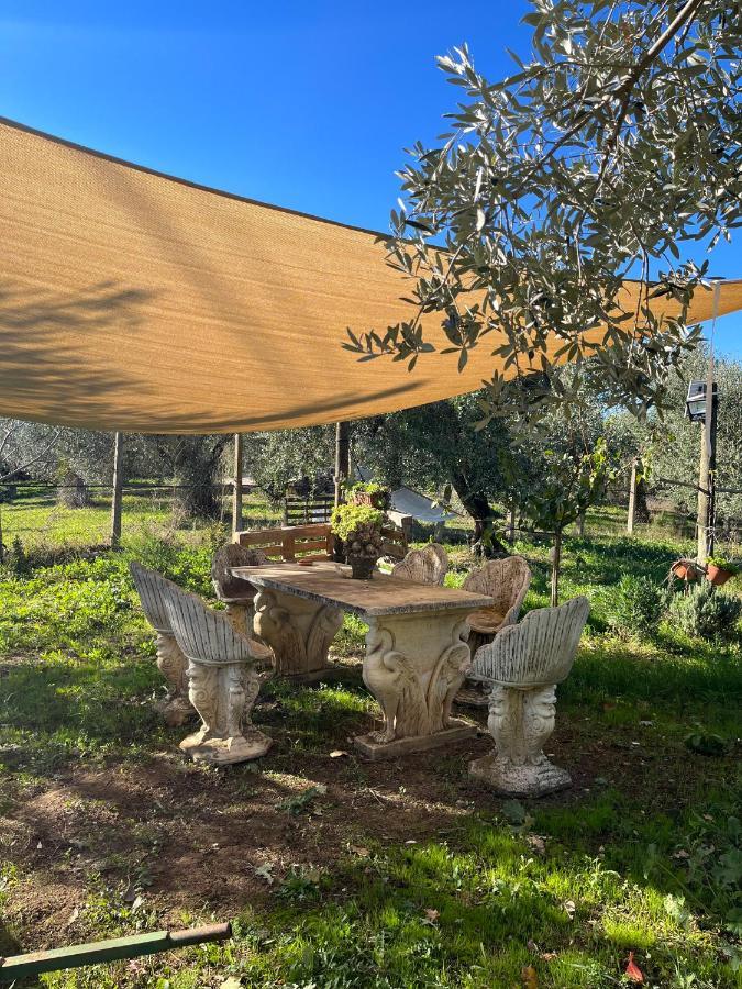 Colle Perazzoni Διαμέρισμα Fiano Romano Εξωτερικό φωτογραφία