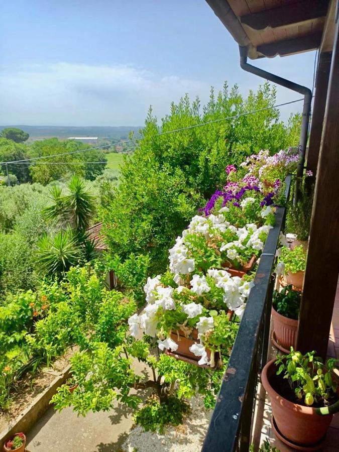 Colle Perazzoni Διαμέρισμα Fiano Romano Εξωτερικό φωτογραφία