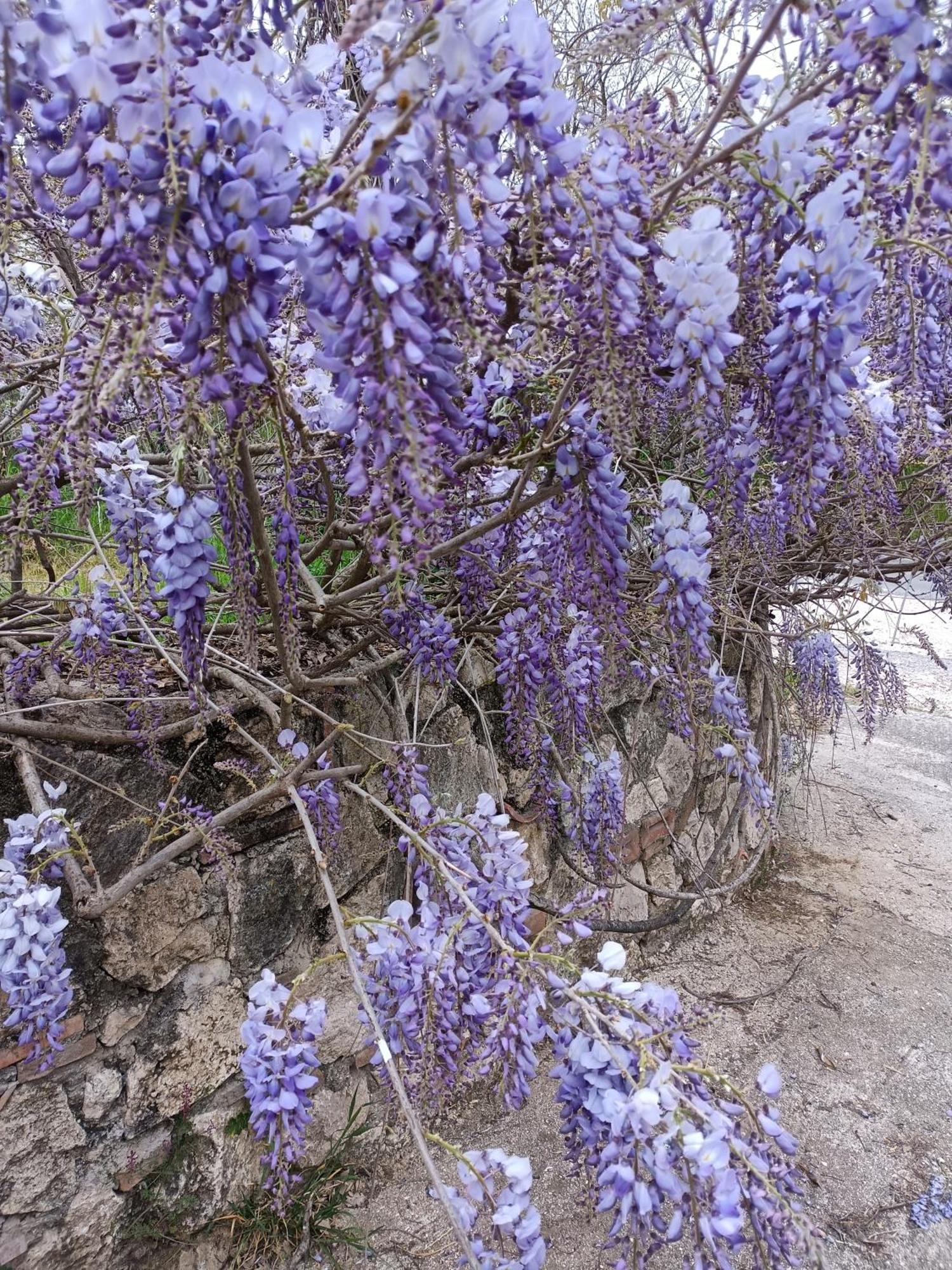 Colle Perazzoni Διαμέρισμα Fiano Romano Εξωτερικό φωτογραφία