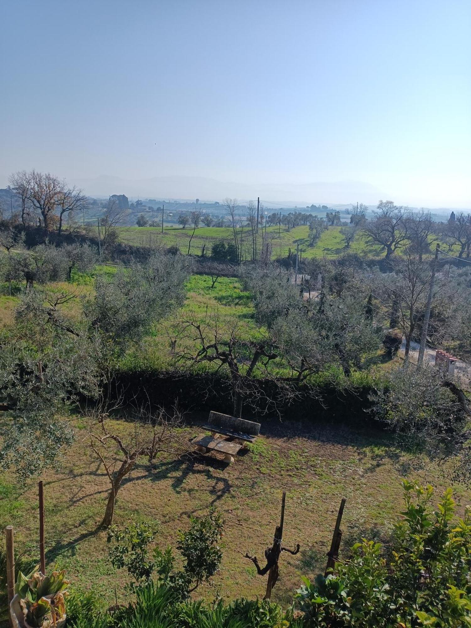 Colle Perazzoni Διαμέρισμα Fiano Romano Εξωτερικό φωτογραφία
