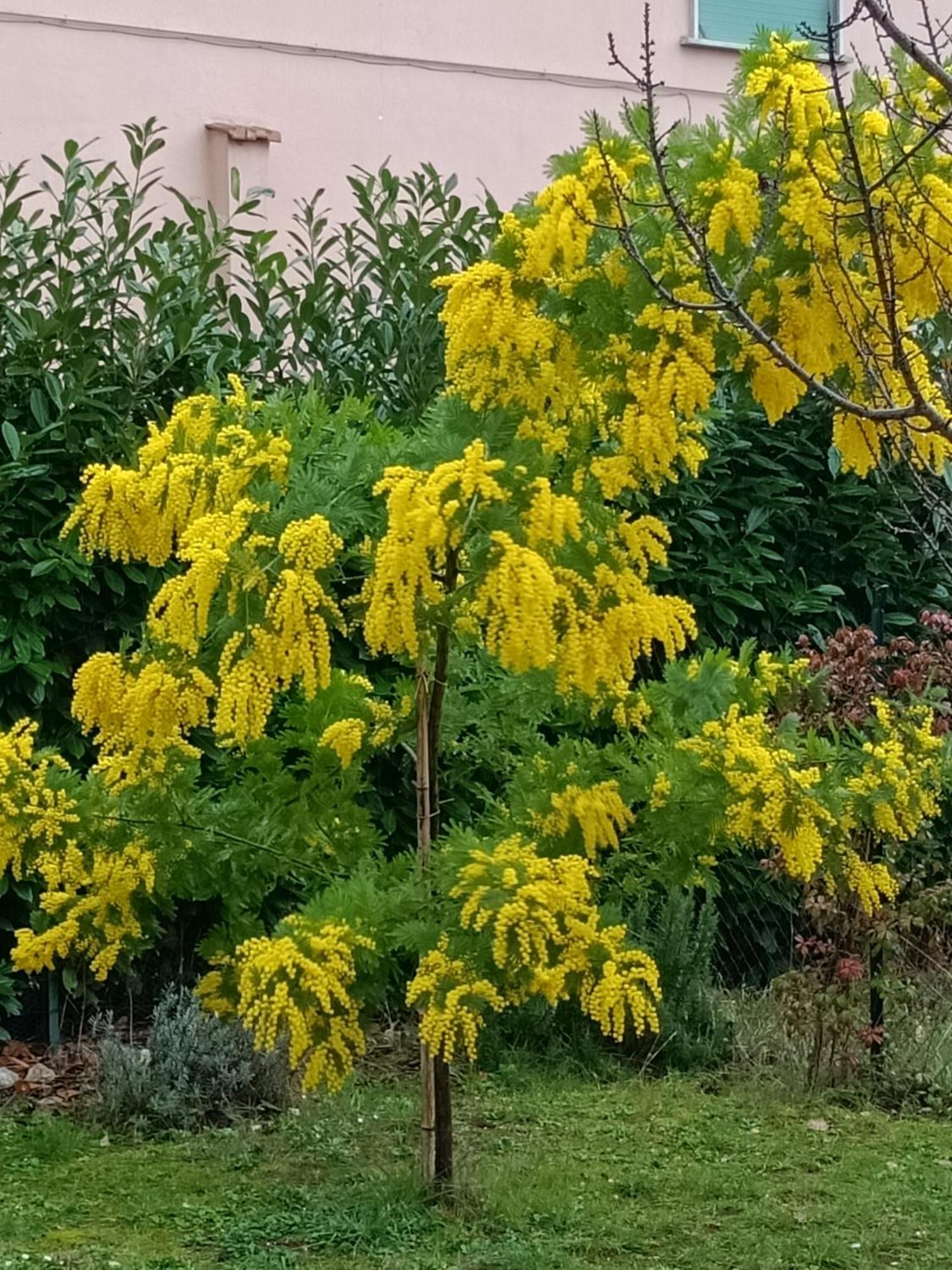 Colle Perazzoni Διαμέρισμα Fiano Romano Εξωτερικό φωτογραφία