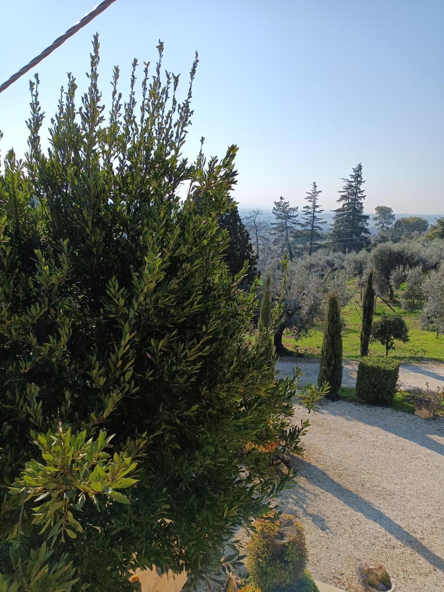 Colle Perazzoni Διαμέρισμα Fiano Romano Εξωτερικό φωτογραφία