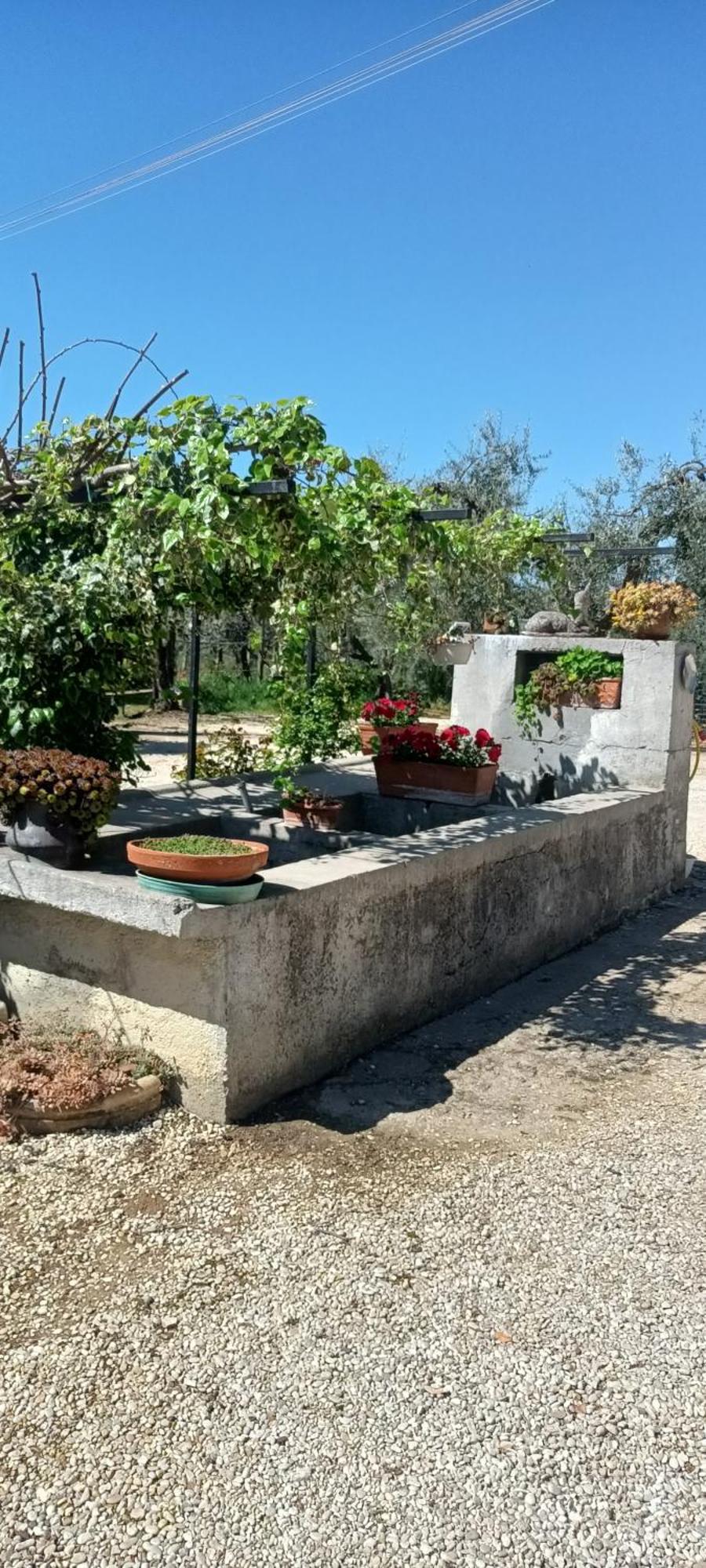 Colle Perazzoni Διαμέρισμα Fiano Romano Εξωτερικό φωτογραφία