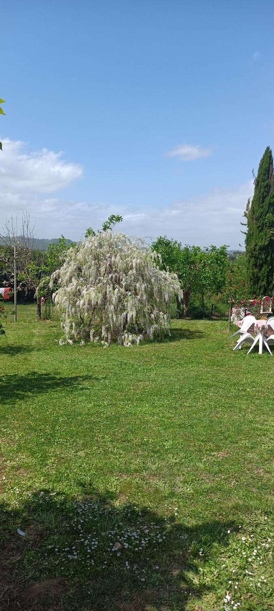 Colle Perazzoni Διαμέρισμα Fiano Romano Εξωτερικό φωτογραφία