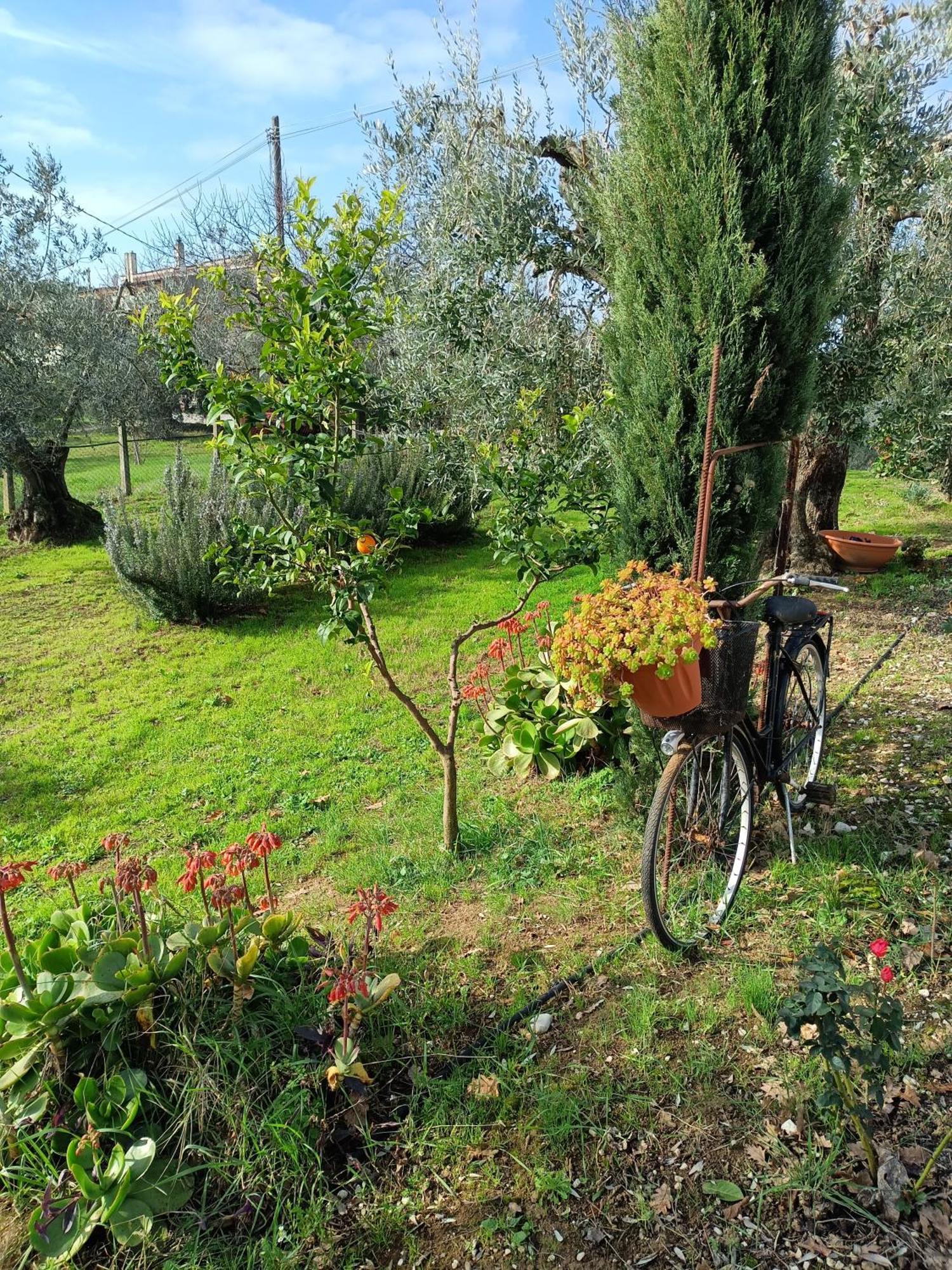 Colle Perazzoni Διαμέρισμα Fiano Romano Δωμάτιο φωτογραφία