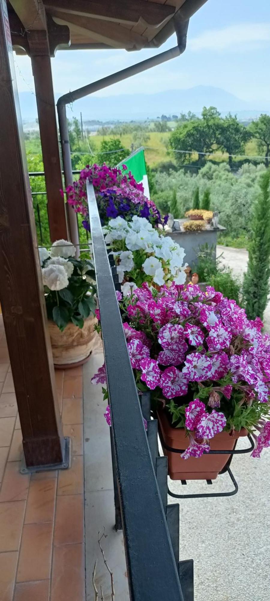 Colle Perazzoni Διαμέρισμα Fiano Romano Εξωτερικό φωτογραφία