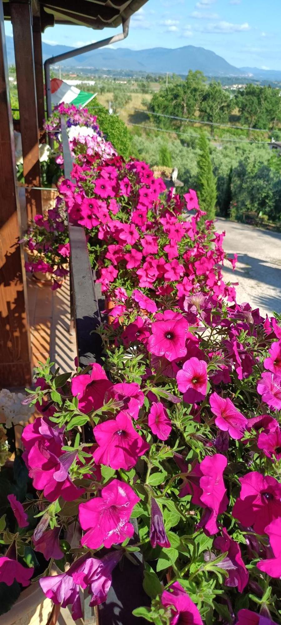 Colle Perazzoni Διαμέρισμα Fiano Romano Εξωτερικό φωτογραφία